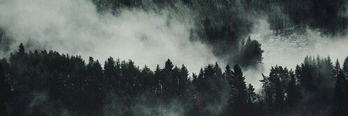 li_3737's profile banner image
