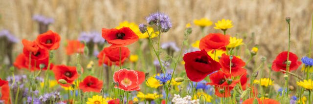 Gemeente Eemsdelta banner