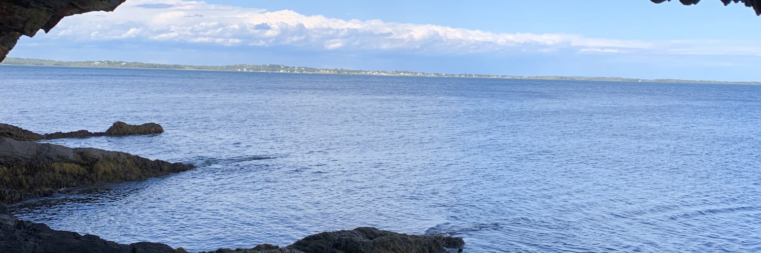 shannysuds's profile banner image