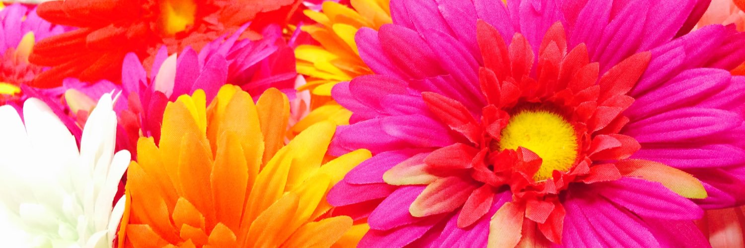 angelchan99's profile banner image