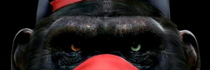 COMMON2030's profile banner image
