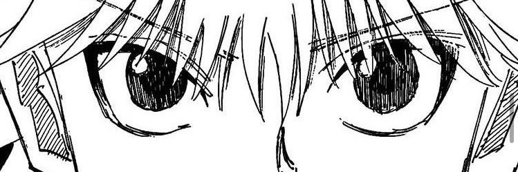 토마토 조르딕 banner