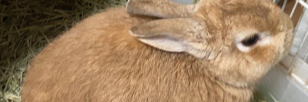 whipwhip23_2 Profile Banner
