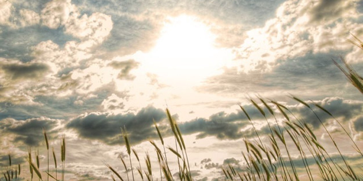 JoniktheSonic banner