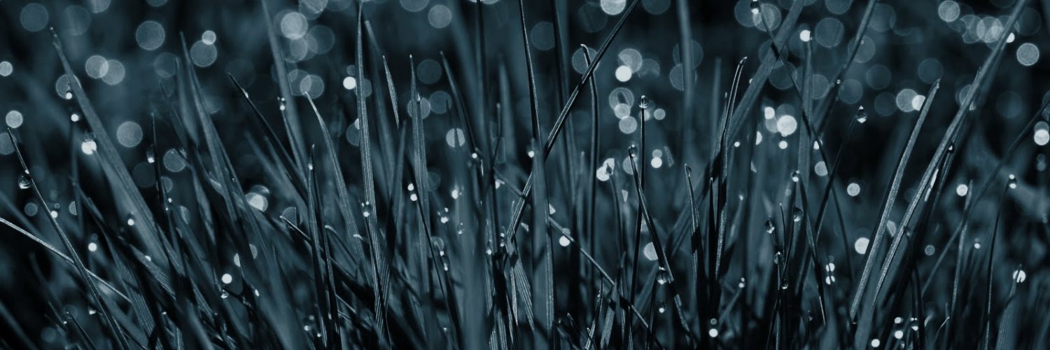 thuyan23's profile banner image