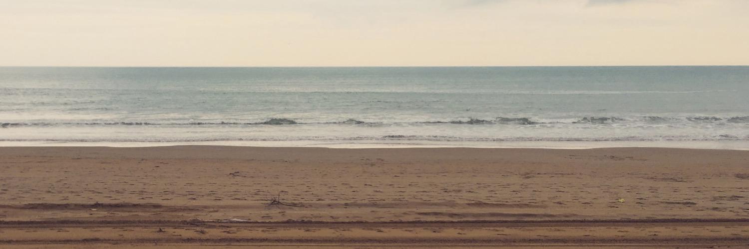 MelissaManzan's profile banner image