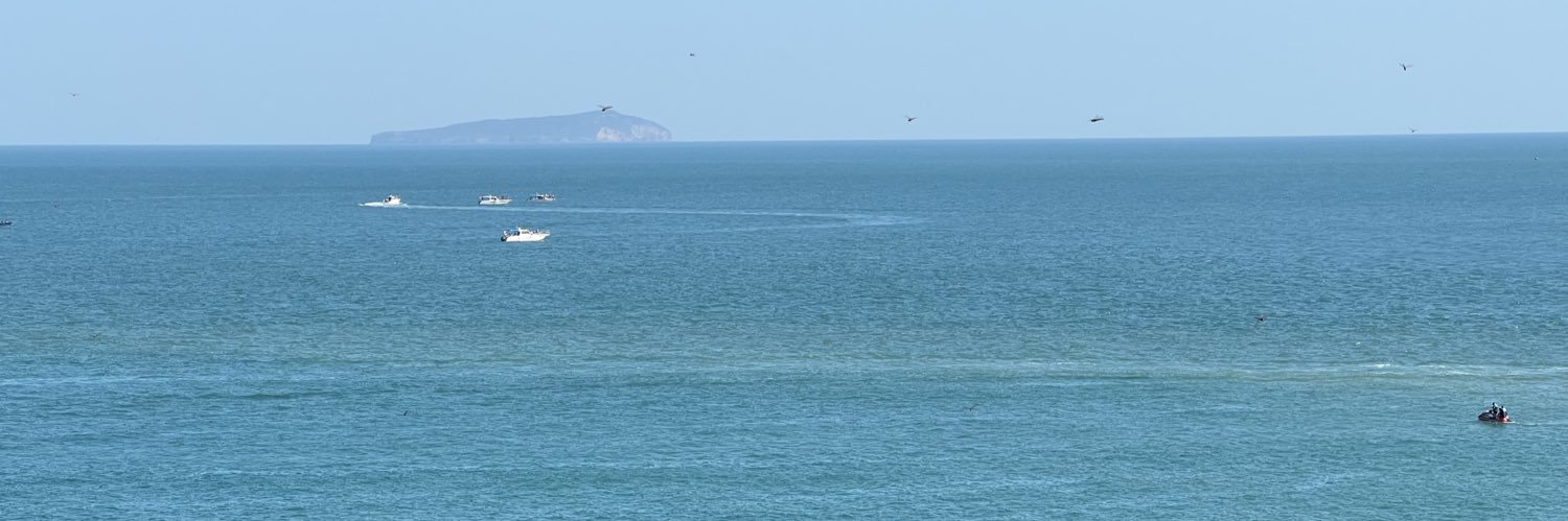 青柚抹茶生巧 banner