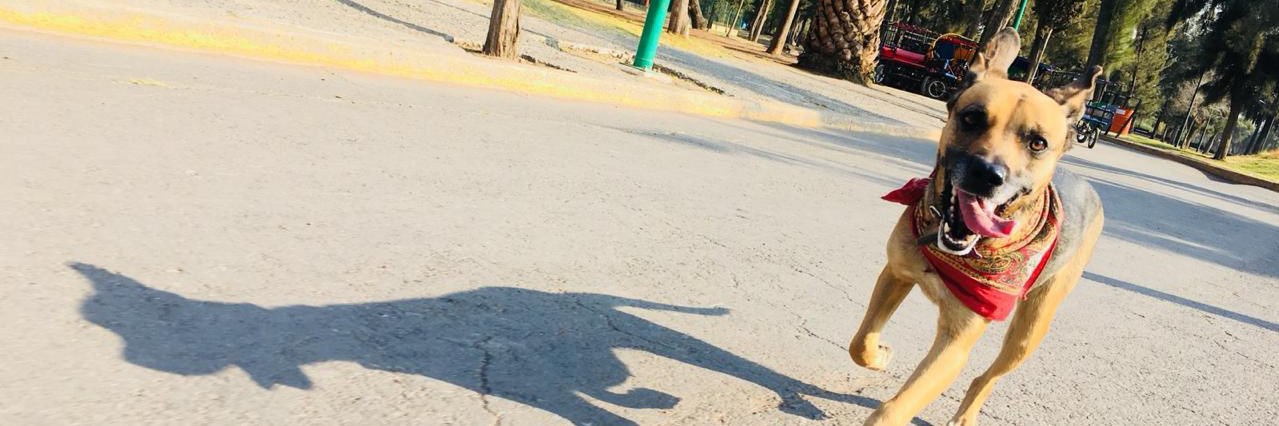 k_marianaa's profile banner image