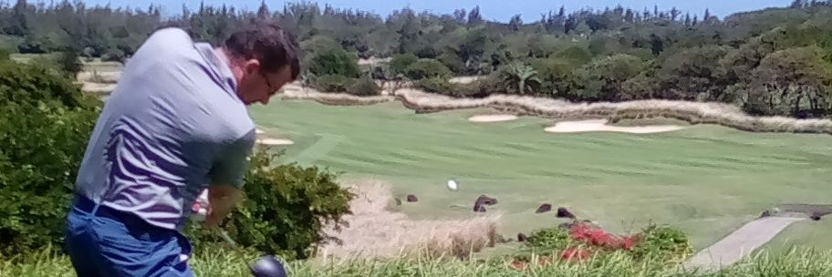 Lord Tae of the Shire banner