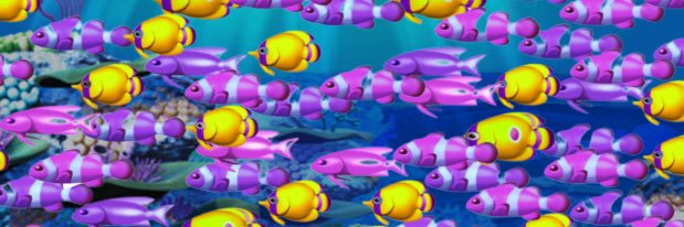 Fried_Seki's profile banner image