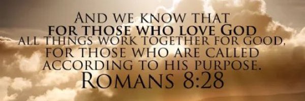 LozzaT873872 Profile Banner