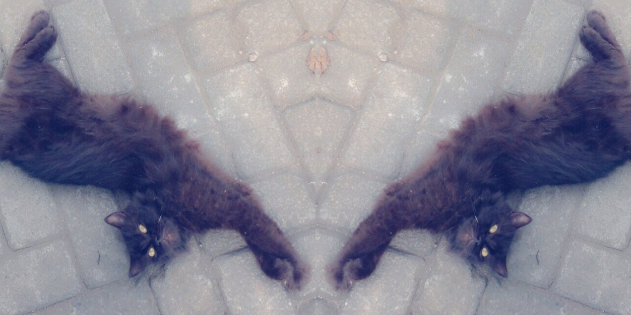 IngeSesa's profile banner image