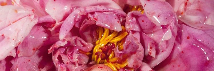 ❤️‍🔥BADGYAL ❤️‍🔥 banner