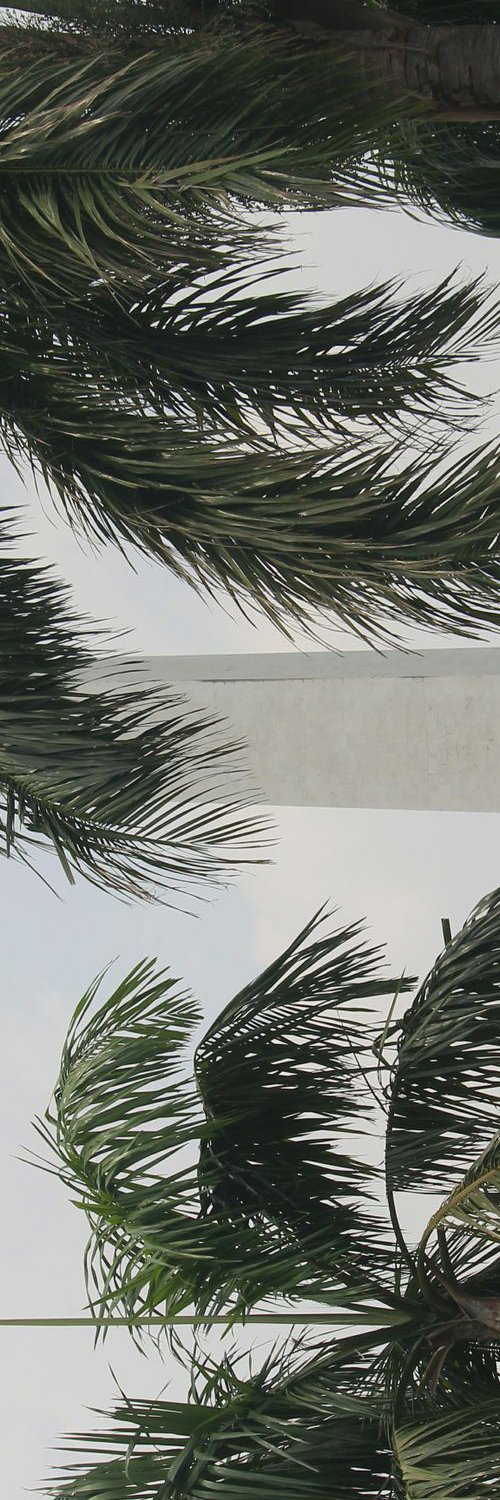 masrs__'s profile banner image