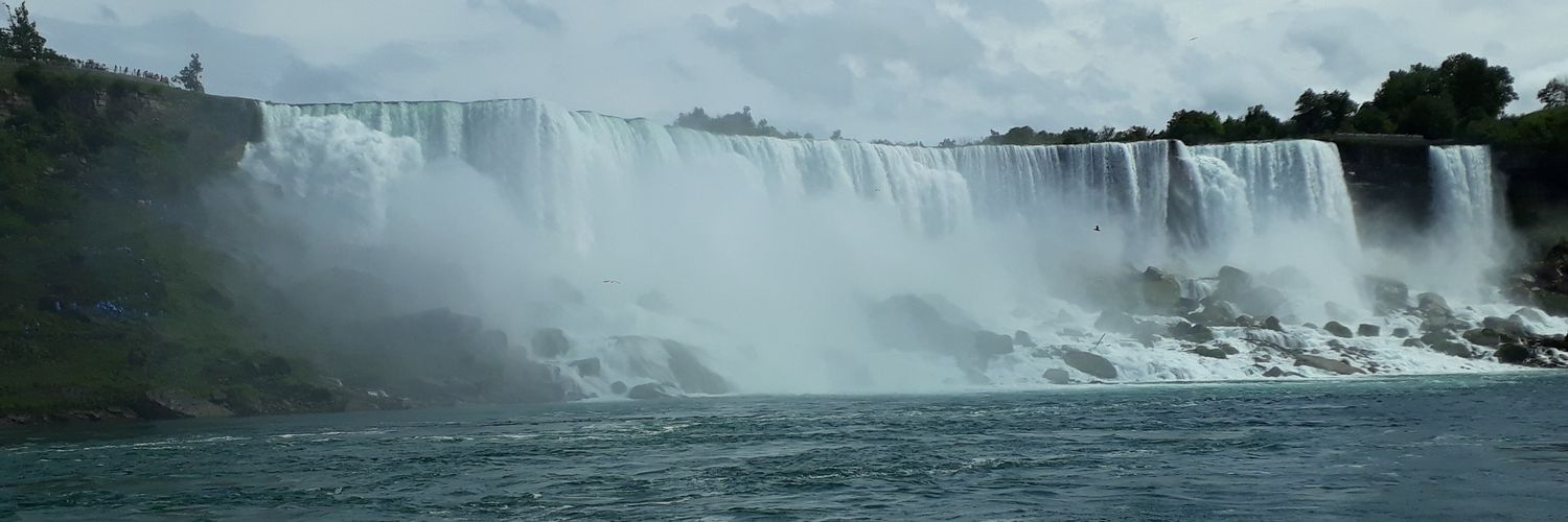 TANIAMIREY's profile banner image