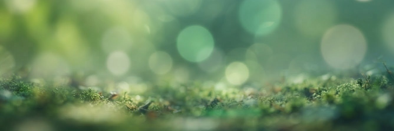 Vortex_777bjg's profile banner image
