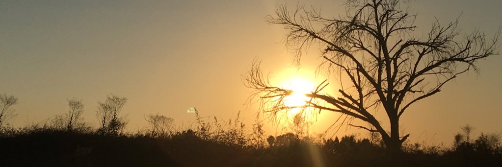 VVal_E's profile banner image