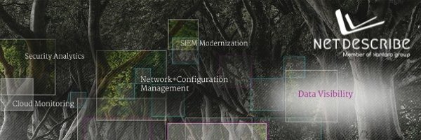 NetDescribe Profile Banner