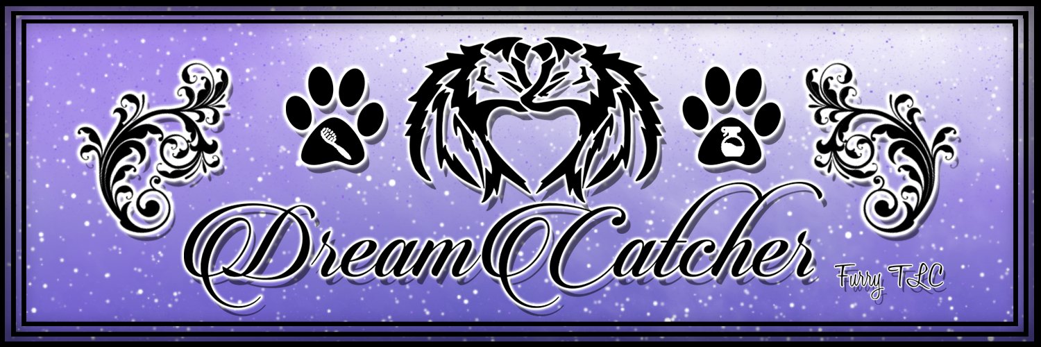 JazzyFang's profile banner image