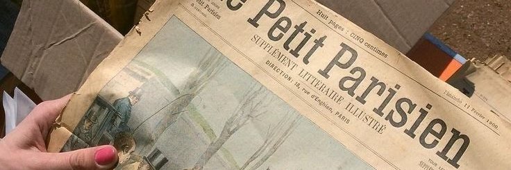 violetstrobilus's profile banner image