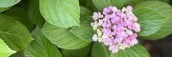 makimura21 Profile Banner