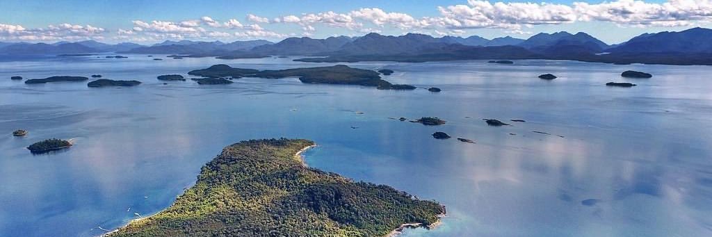 BosquesAzules.CL banner