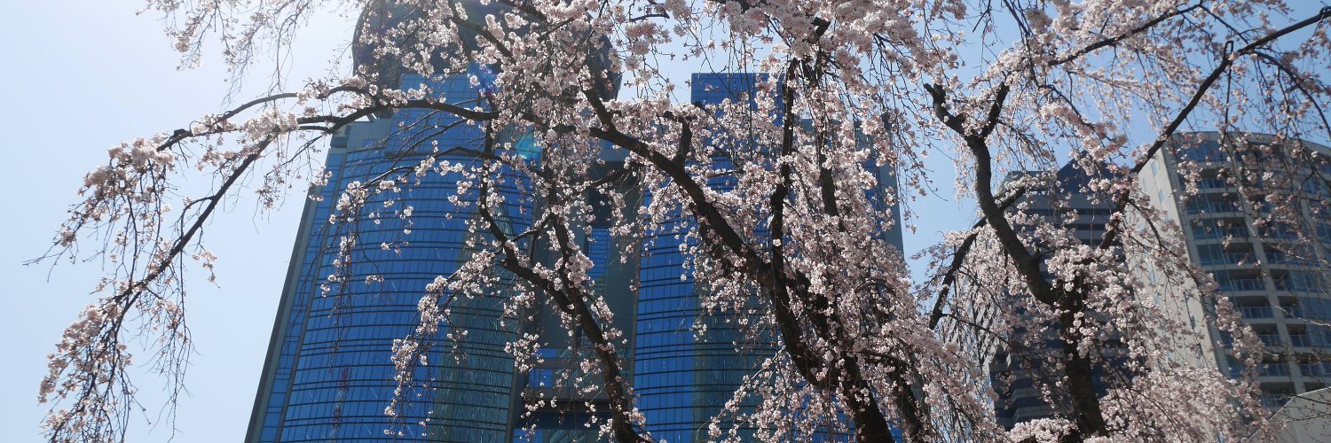 sacasinfo's profile banner image