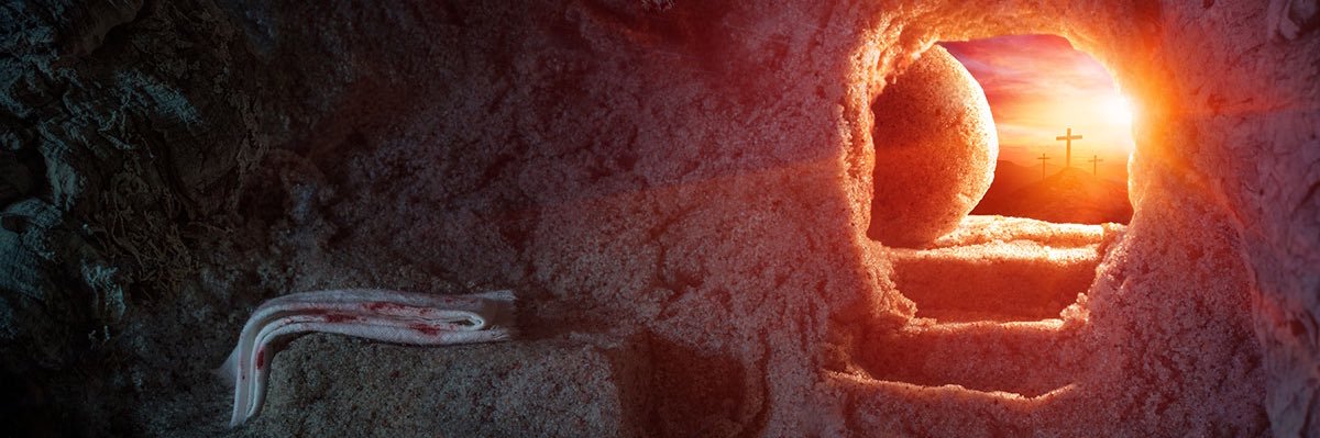 𝕃𝕦𝕞𝕚𝕟𝕖𝕤𝕔𝕖𝕟𝕥 𝕊𝕙𝕚𝕞𝕞𝕖𝕣 banner