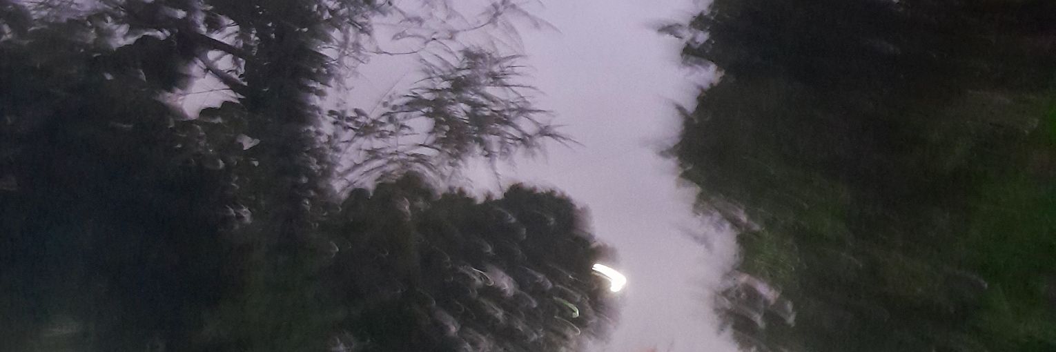 moonstraw00's profile banner image