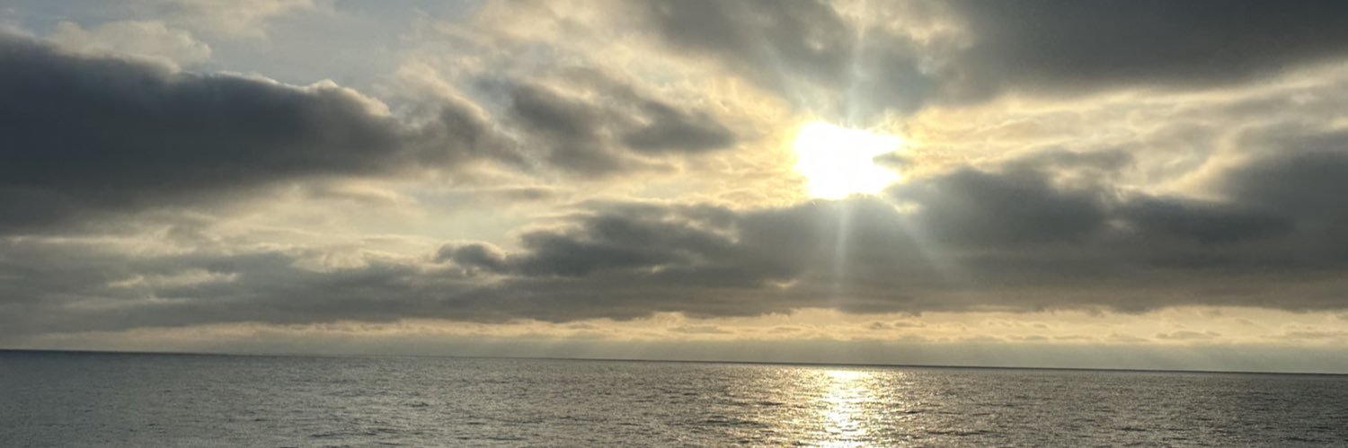 Stephanie🕊's banner