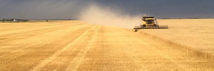 husmanngarrett's profile banner image