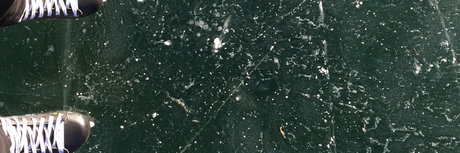 Nicola Fontanive banner