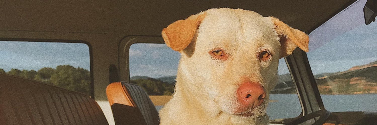 __________bobo's profile banner image