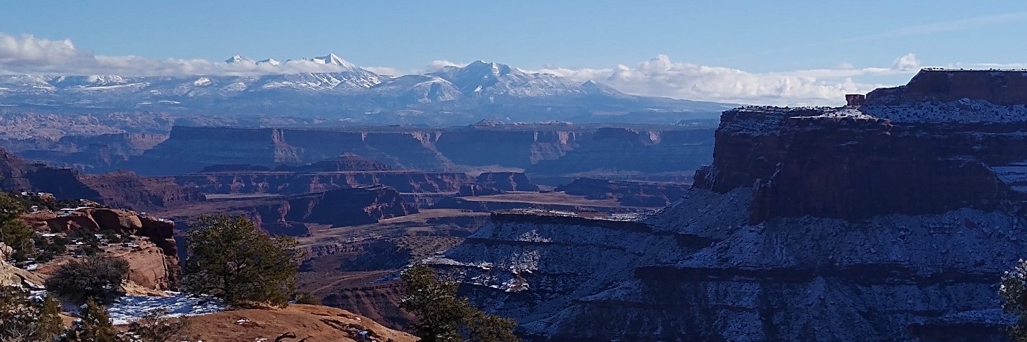 David Fellerath banner