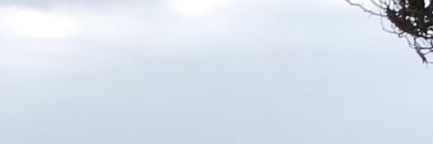 3equishard's profile banner image