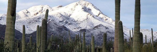 YLIAfan Profile Banner