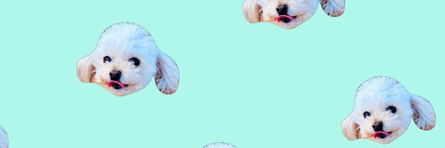 mimimimimi222's profile banner image