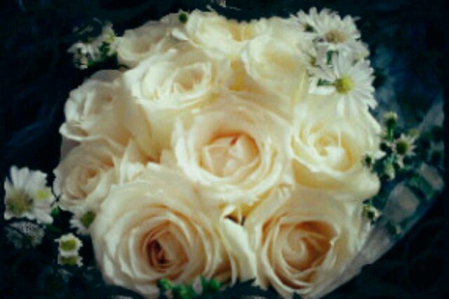 destiaulia52's profile banner image