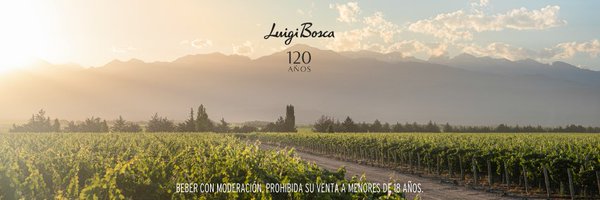 LuigiBoscaBodeg Profile Banner