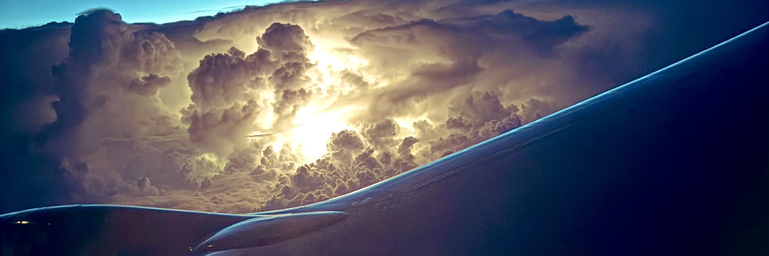 therealmysbee's profile banner image