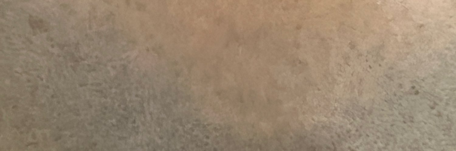rokoooon's profile banner image