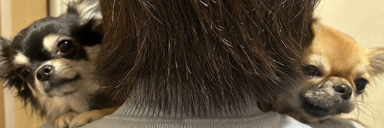readrain's profile banner image