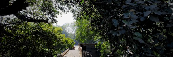 AdeeKulkarni Profile Banner