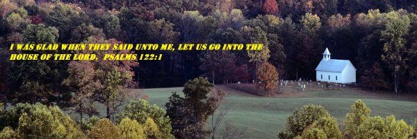 joecast50967150 Profile Banner