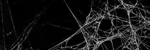rudanajs Profile Banner