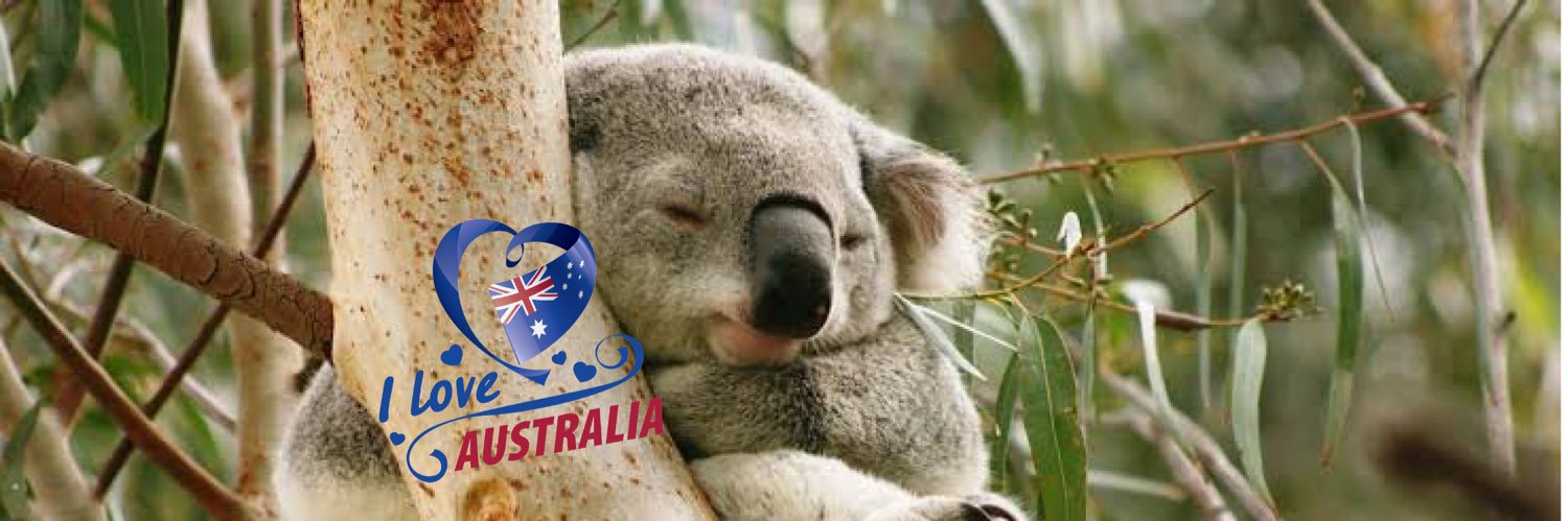 ゴールドコースケ🇦🇺から帰国3年目 banner