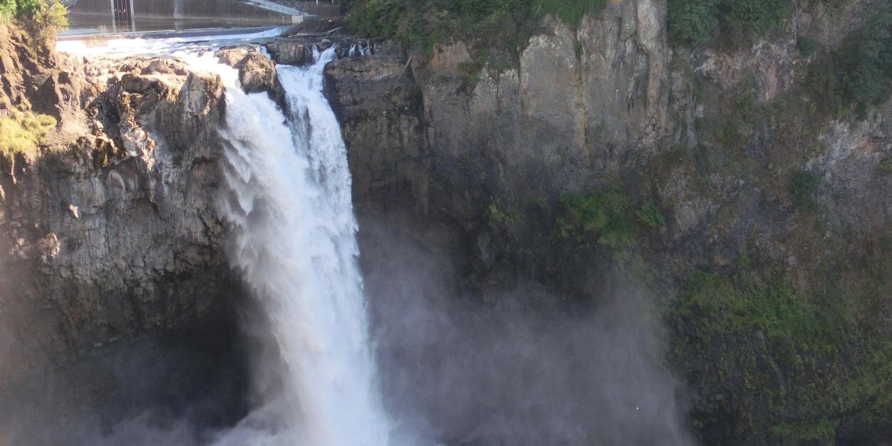 #HaveRealPresident banner