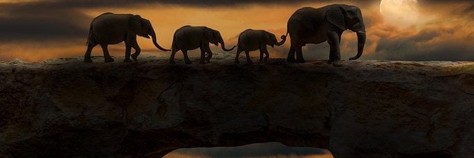 Jerry3763184662's profile banner image