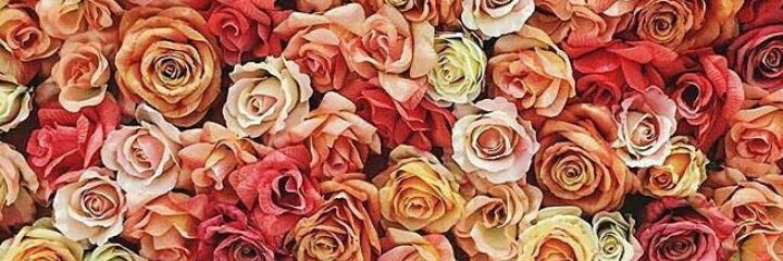 Rw3aEmad's profile banner image
