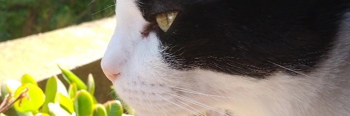 Manuug135's profile banner image